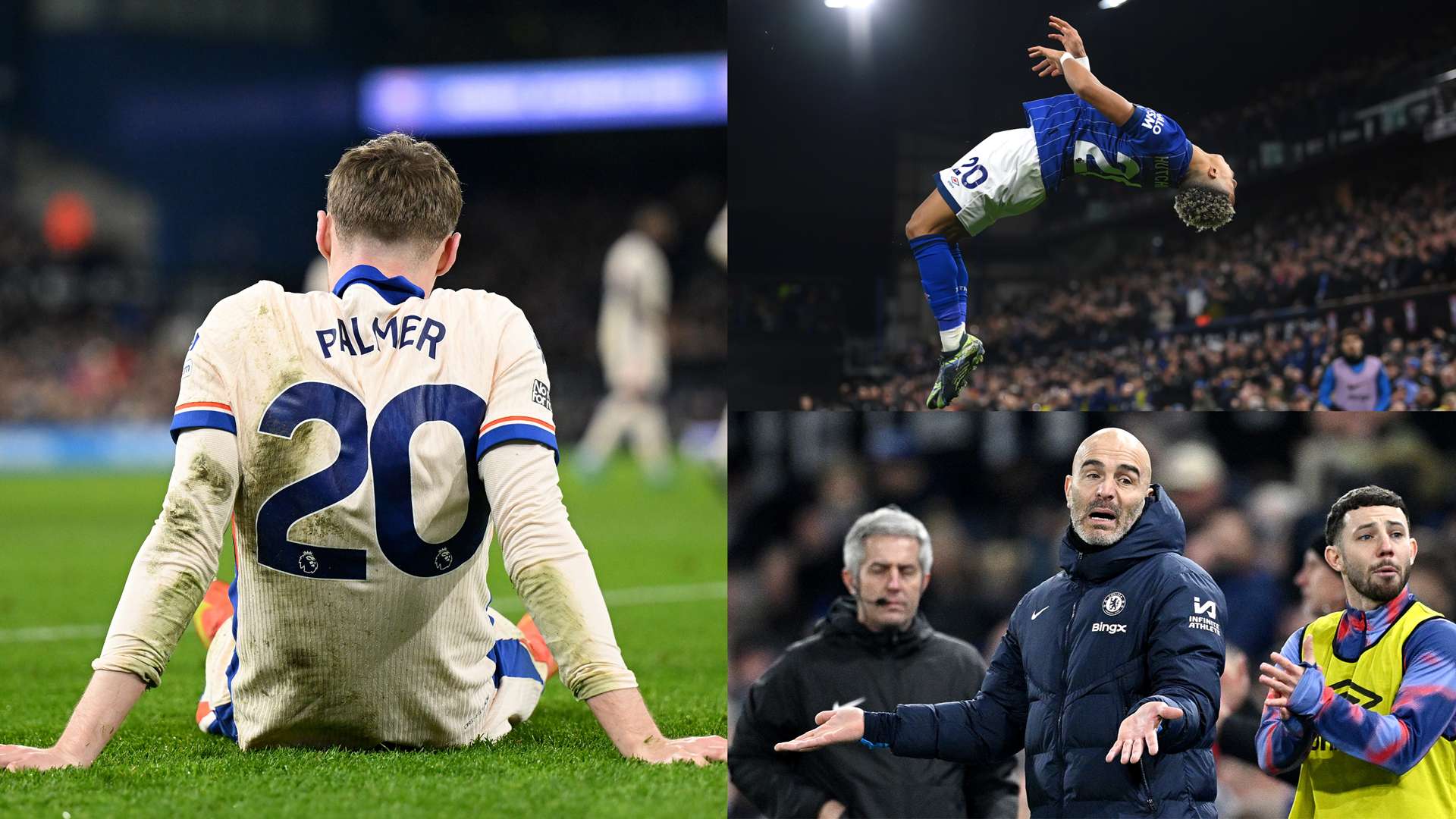 强调他希望 强调他希望