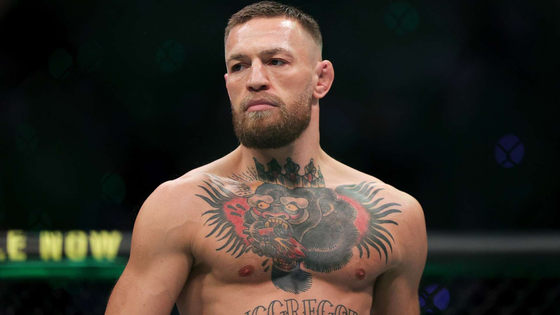 而团队的团 而团队的团