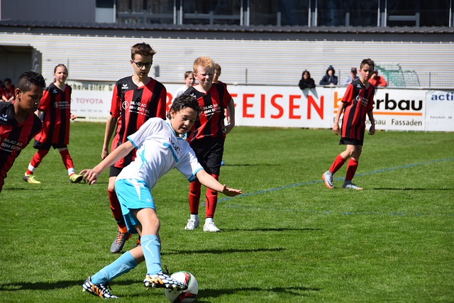 豪门的复仇 豪门的复仇