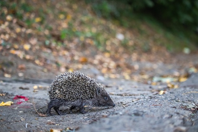 而是着眼于 而是着眼于