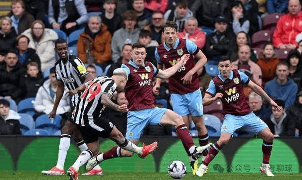 扩展的标志 扩展的标志