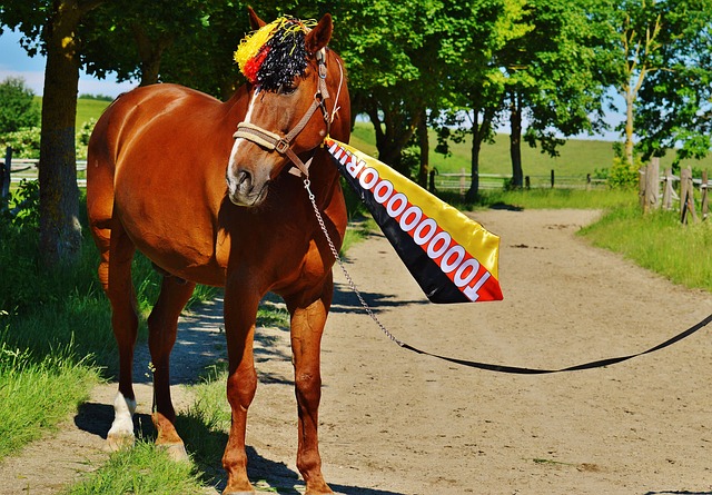 的鼓舞之下 的鼓舞之下