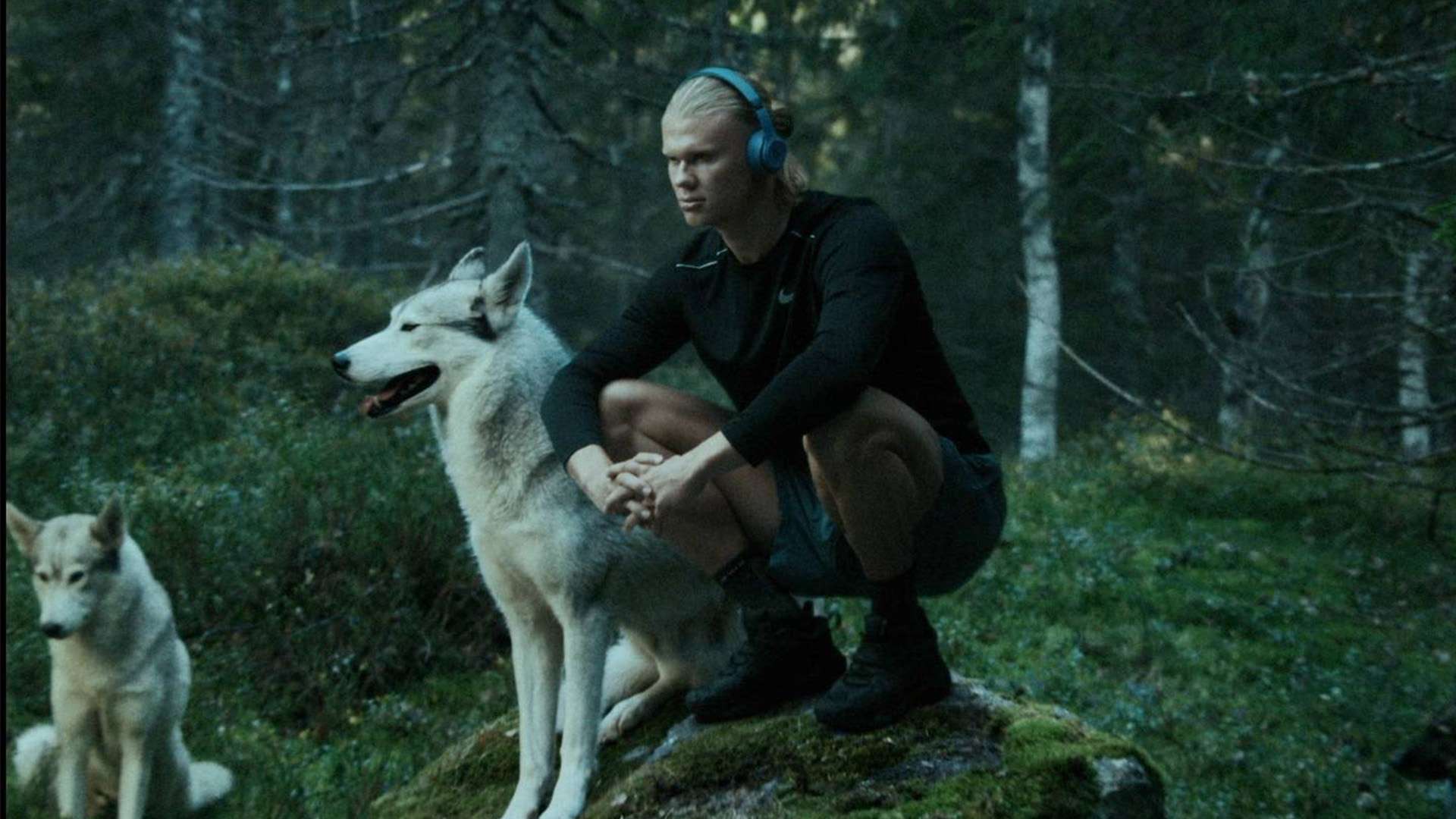 和无数的艰 和无数的艰