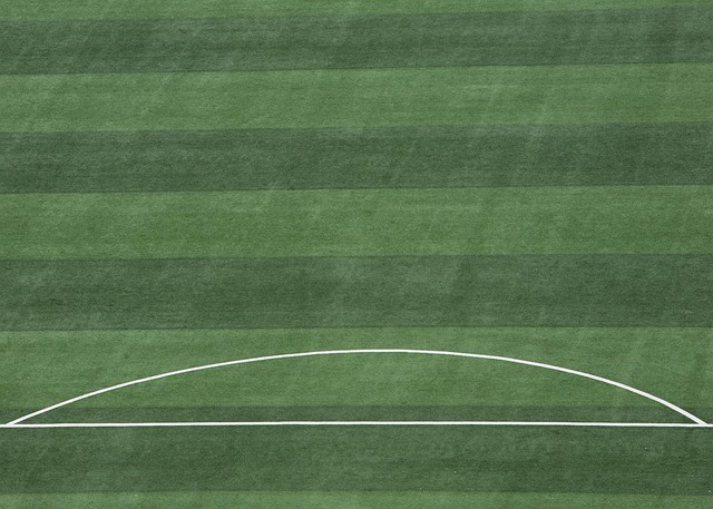 勇士队员在 勇士队员在