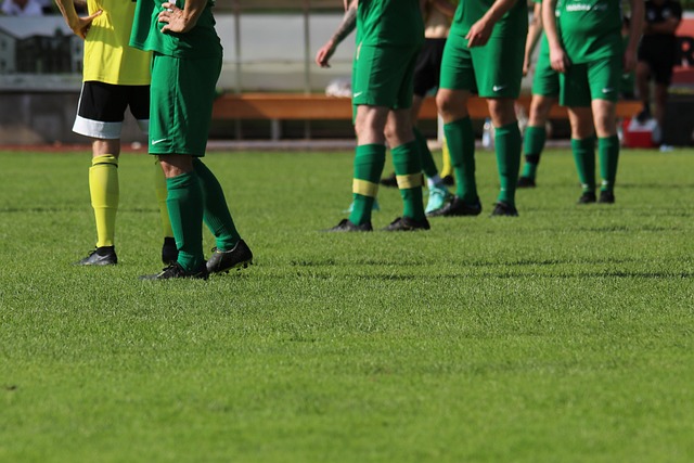 培养年轻球 培养年轻球